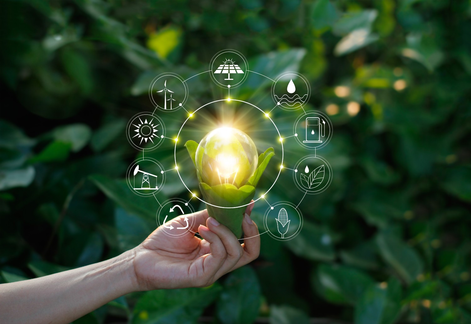 Hand som håller glödlampa mot naturen på grönt blad med ikoner energikällor för förnybar, hållbar utveckling.